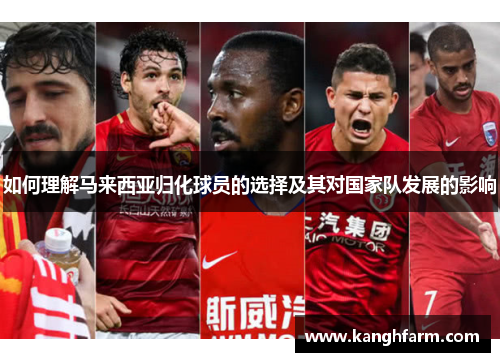 如何理解马来西亚归化球员的选择及其对国家队发展的影响