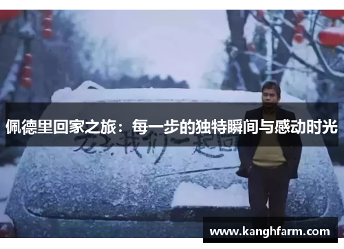 佩德里回家之旅：每一步的独特瞬间与感动时光