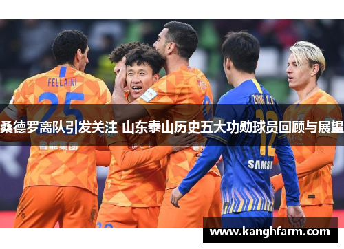桑德罗离队引发关注 山东泰山历史五大功勋球员回顾与展望 桑德罗离队引发关注 山东泰山历史五大功勋球员回顾与展望