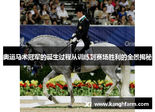 奥运马术冠军的诞生过程从训练到赛场胜利的全景揭秘 奥运马术冠军的诞生过程从训练到赛场胜利的全景揭秘