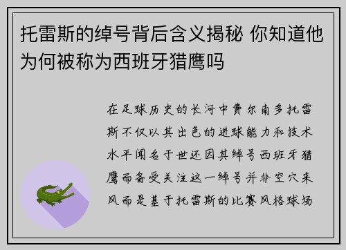托雷斯的绰号背后含义揭秘 你知道他为何被称为西班牙猎鹰吗 托雷斯的绰号背后含义揭秘 你知道他为何被称为西班牙猎鹰吗
